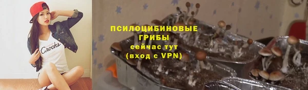 прущие крисы Богородицк