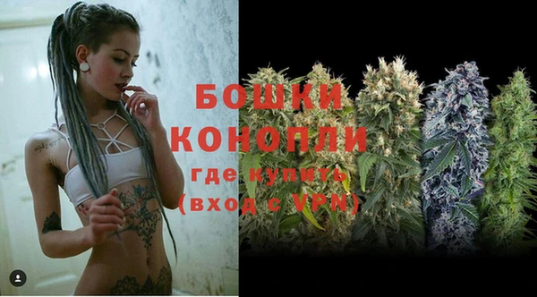 гидропоника Богданович