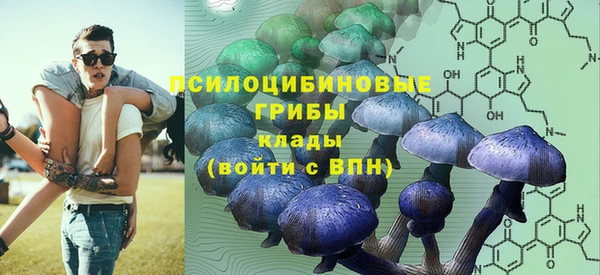 гидропоника Богданович