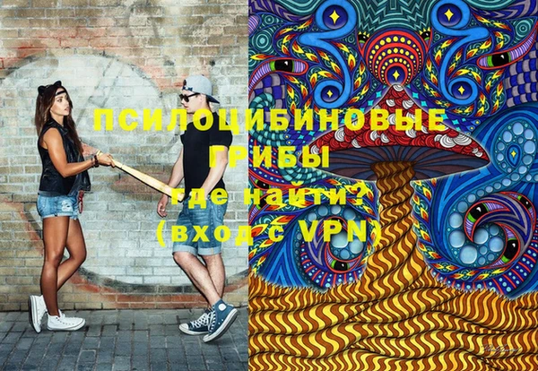 PSILOCYBIN Богородск