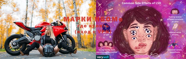 PSILOCYBIN Богородск