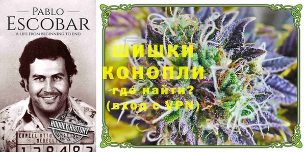 гидропоника Богданович