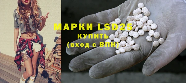 PSILOCYBIN Богородск