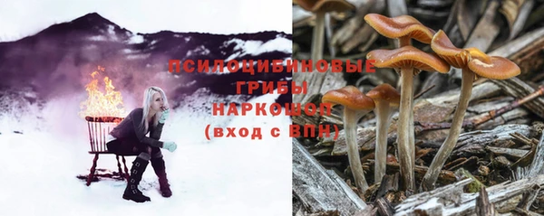 гидропоника Богданович