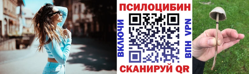 Псилоцибиновые грибы ЛСД  Купить закладки  Новая Ладога 